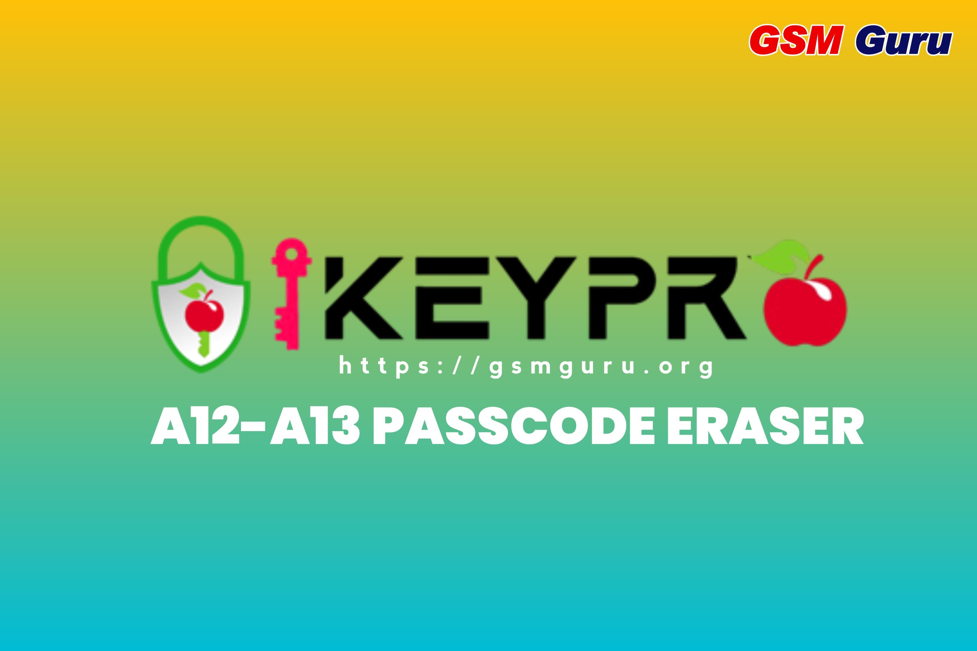 iKeyPro Passcode Eraser DFU Mode A12-A13