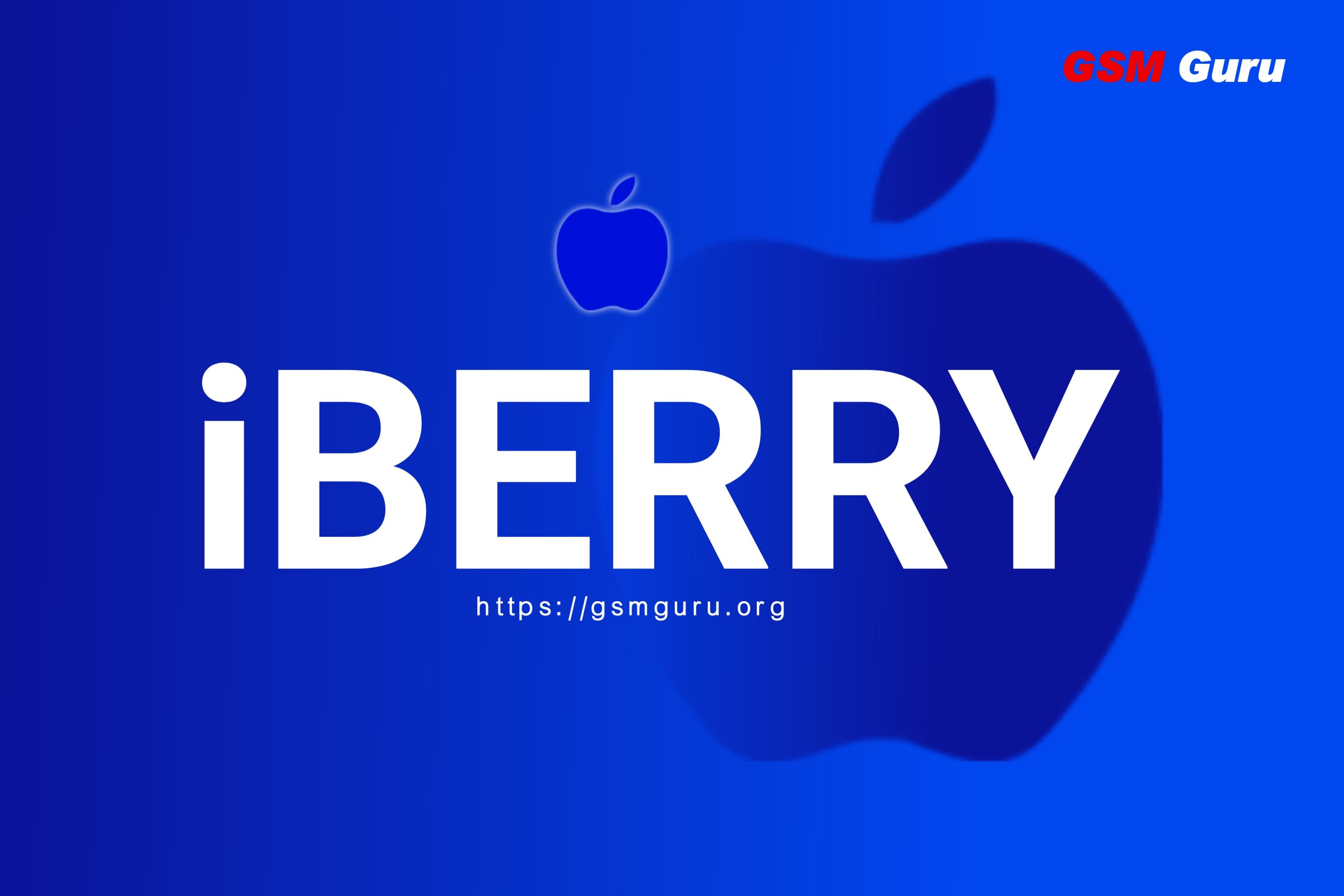 iBerry - iPhone SE (2020) Passcode Bypass Full Signal iOS17-27✅️