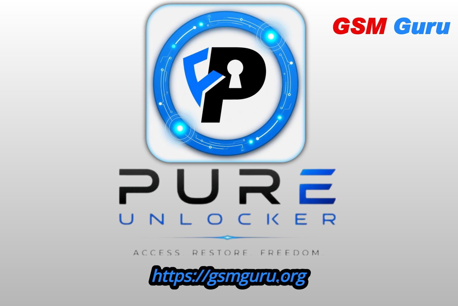 PURE UNLOCKER PRO Activation 12 Months Plan